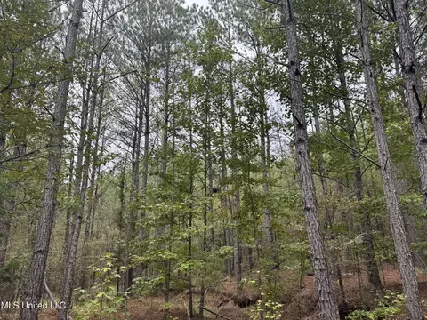 Ben Chapman Road, Puckett, MS 39042 photo 7