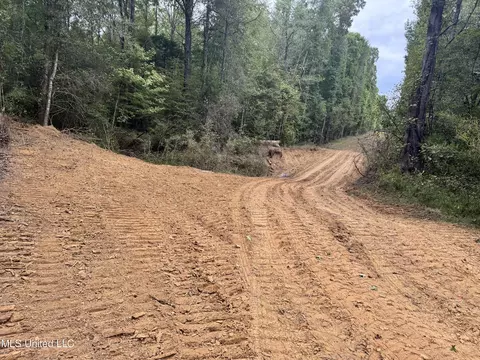 Ben Chapman Road, Puckett, MS 39042 photo 4