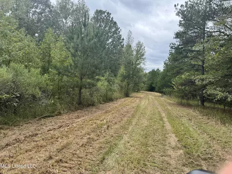 Ben Chapman Road, Puckett, MS 39042