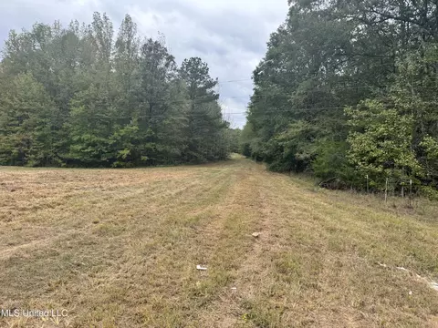 Ben Chapman Road, Puckett, MS 39042 photo 10
