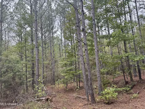 Ben Chapman Road, Puckett, MS 39042 photo 5