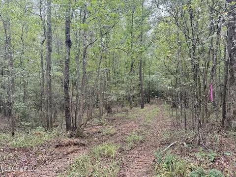 Ben Chapman Road, Puckett, MS 39042 photo 12
