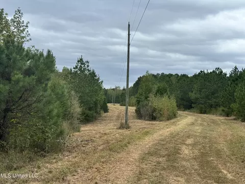 Ben Chapman Road, Puckett, MS 39042 photo 8