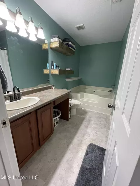Bath - 197 Andrews Rd, Florence, MS 39073 photo 1 of 2