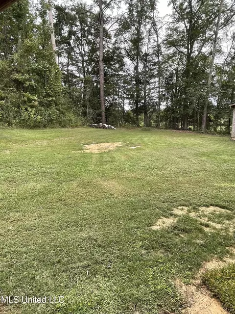 Exterior - 197 Andrews Rd, Florence, MS 39073 photo 8 of 8