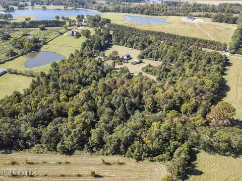 View/Area - 302 Cedar Hill Rd, Flora, MS 39071 photo 3 of 5