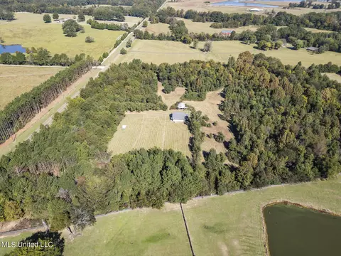 View/Area - 302 Cedar Hill Rd, Flora, MS 39071 photo 1 of 5
