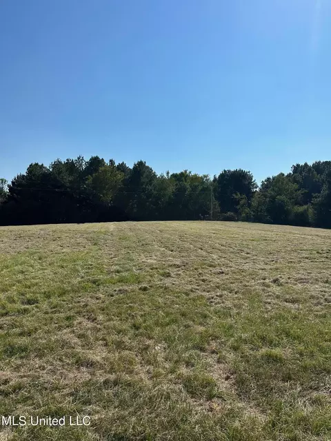 Other - 302 Cedar Hill Rd, Flora, MS 39071 photo 10 of 12
