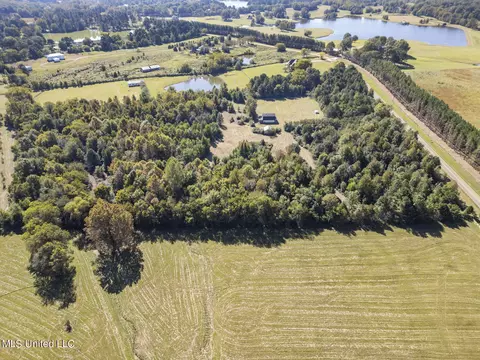 View/Area - 302 Cedar Hill Rd, Flora, MS 39071 photo 4 of 5