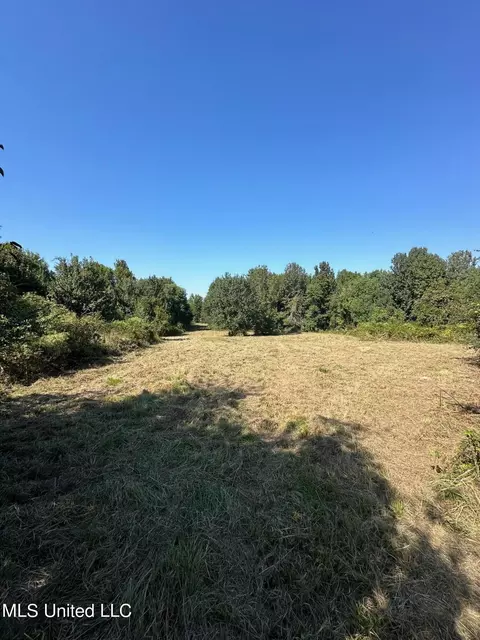 Other - 302 Cedar Hill Rd, Flora, MS 39071 photo 8 of 12