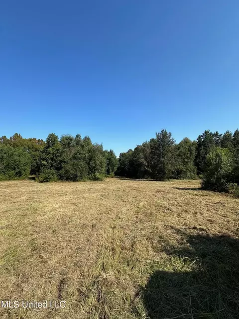 Other - 302 Cedar Hill Rd, Flora, MS 39071 photo 9 of 12