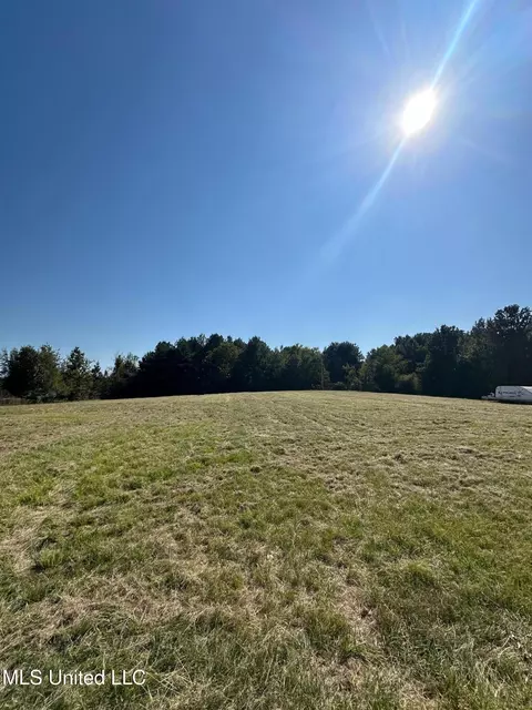 Other - 302 Cedar Hill Rd, Flora, MS 39071 photo 11 of 12