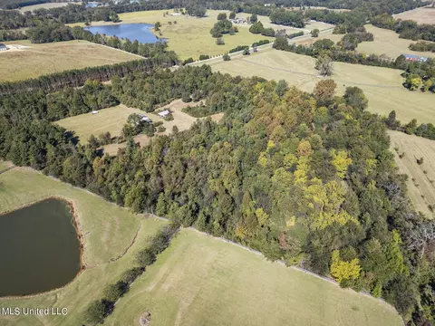 Other - 302 Cedar Hill Rd, Flora, MS 39071 photo 3 of 12