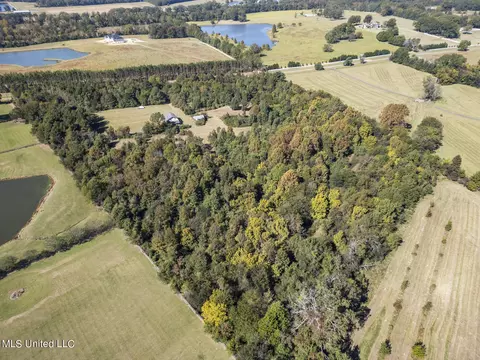 View/Area - 302 Cedar Hill Rd, Flora, MS 39071 photo 2 of 5