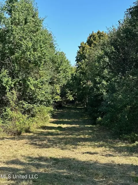 Other - 302 Cedar Hill Rd, Flora, MS 39071 photo 12 of 12