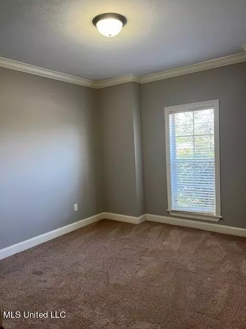 Other - 574 Turtle Ln, Brandon, MS 39047 photo 3 of 9