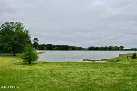 0001 Pine Lake Cv, Flora, MS 39071 photo 6