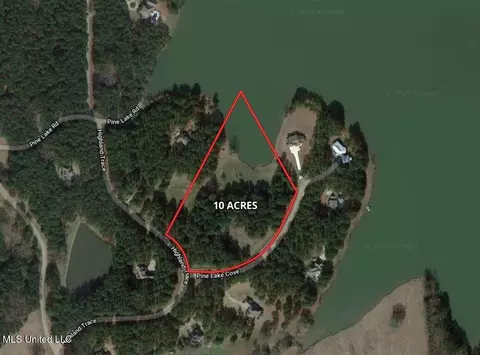 0001 Pine Lake Cv, Flora, MS 39071 photo 4