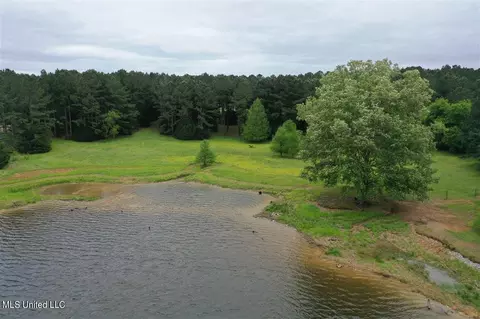 0001 Pine Lake Cv, Flora, MS 39071 photo 3