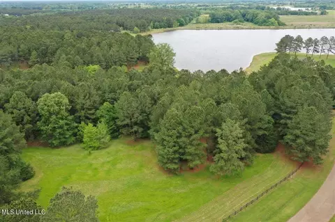 0001 Pine Lake Cv, Flora, MS 39071 photo 2
