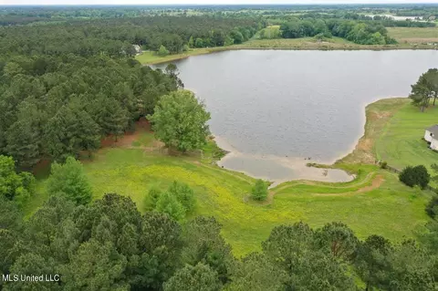 0001 Pine Lake Cv, Flora, MS 39071