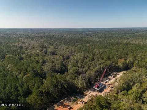 New Hope Road, Wiggins, MS 39577 photo 9