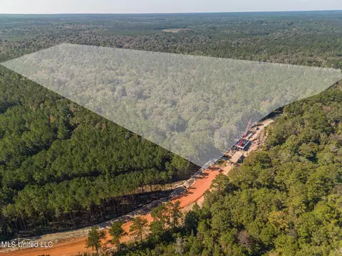 New Hope Road, Wiggins, MS 39577 photo 7