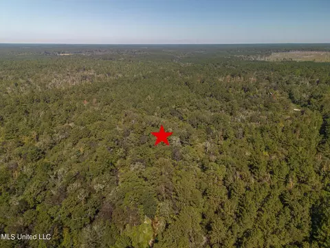 New Hope Road, Wiggins, MS 39577 photo 3