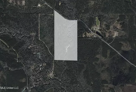 New Hope Road, Wiggins, MS 39577 photo 10