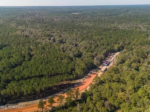 New Hope Road, Wiggins, MS 39577 photo 6