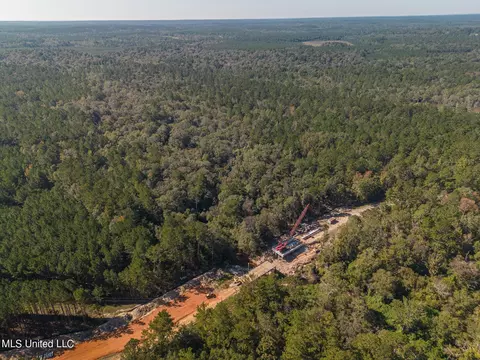 New Hope Road, Wiggins, MS 39577 photo 5