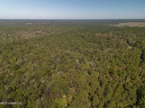 New Hope Road, Wiggins, MS 39577 photo 2