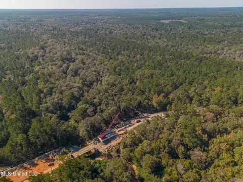New Hope Road, Wiggins, MS 39577 photo 4
