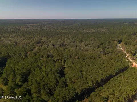 New Hope Road, Wiggins, MS 39577 photo 8