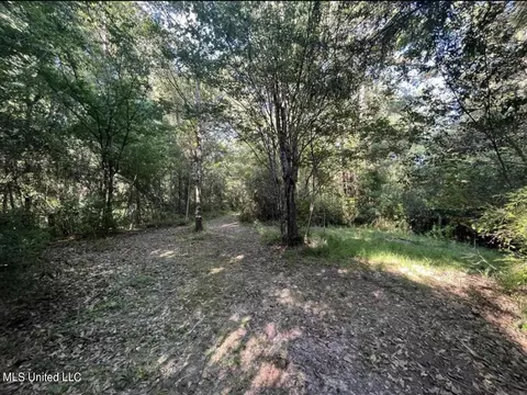 20454 Saucier Advance Rd, Saucier, MS 39574 photo 38