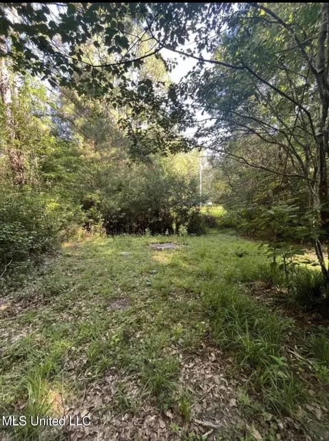 20454 Saucier Advance Rd, Saucier, MS 39574 photo 39