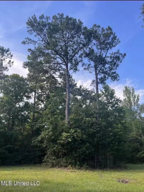 20454 Saucier Advance Rd, Saucier, MS 39574 photo 42