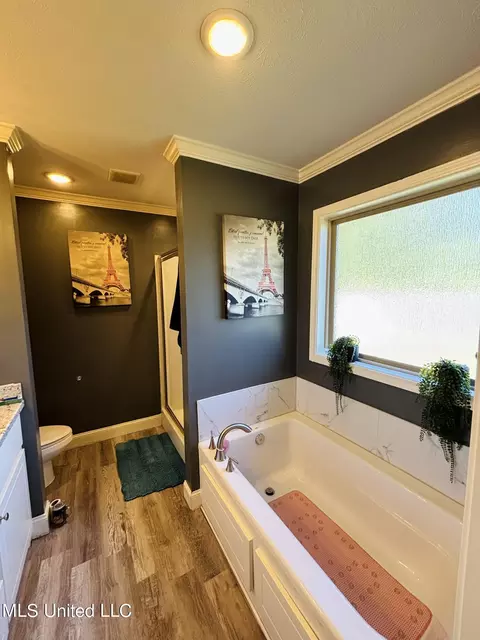 Bath - 148 Terry Brook Dr, Terry, MS 39170 photo 2 of 5