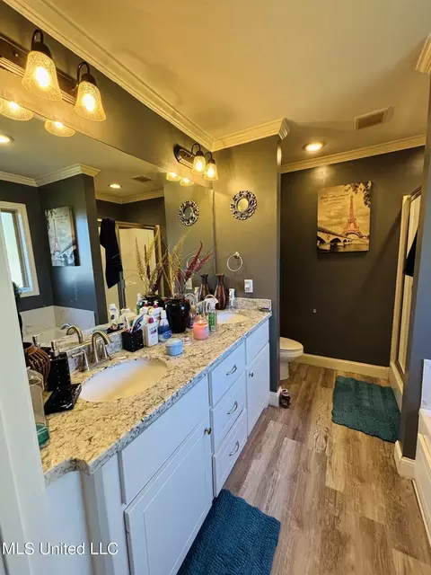 Bath - 148 Terry Brook Dr, Terry, MS 39170 photo 1 of 5