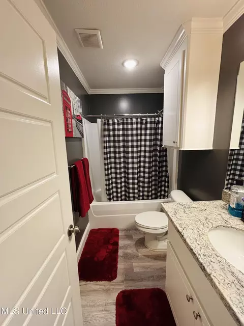 Bath - 148 Terry Brook Dr, Terry, MS 39170 photo 5 of 5
