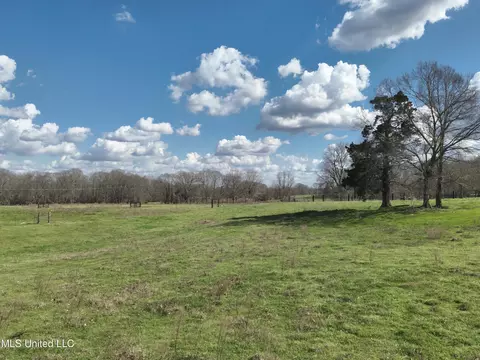 Reedtown Rd, Utica, MS 39175 photo 9
