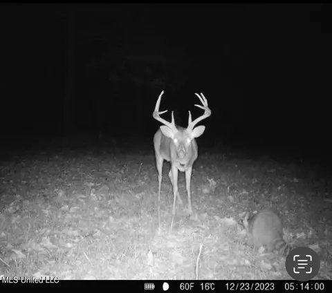 Reedtown Rd, Utica, MS 39175 photo 10