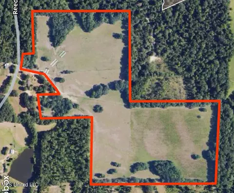 Reedtown Rd, Utica, MS 39175