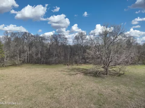 Reedtown Rd, Utica, MS 39175 photo 4