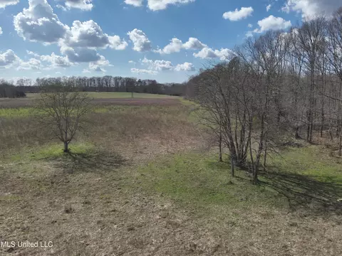 Reedtown Rd, Utica, MS 39175 photo 6