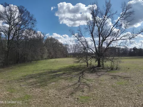 Reedtown Rd, Utica, MS 39175 photo 3