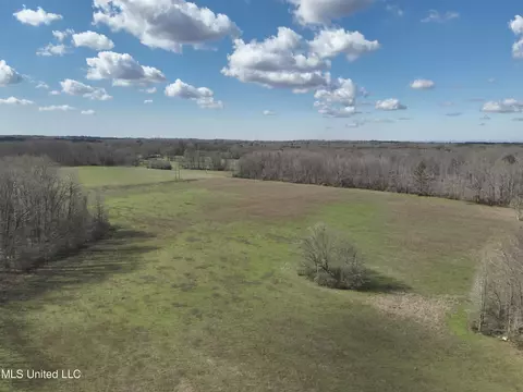 Reedtown Rd, Utica, MS 39175 photo 5