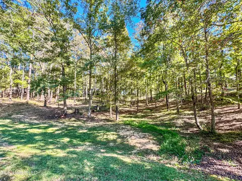 Exterior - 520 E Point Dr, Brandon, MS 39047 photo 2 of 12
