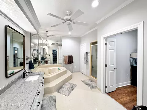 Bath - 520 E Point Dr, Brandon, MS 39047 photo 2 of 4