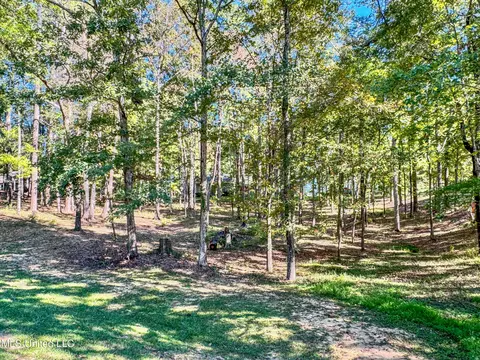 Exterior - 520 E Point Dr, Brandon, MS 39047 photo 8 of 12